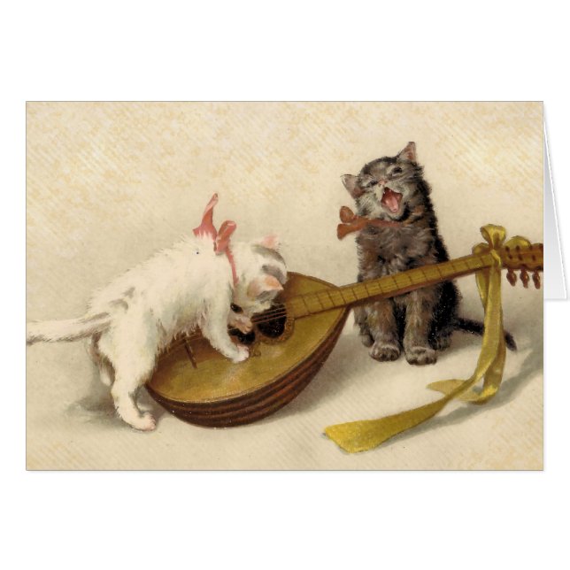 Cartão Gatinhos e o bandolim (Frente Horizontal)