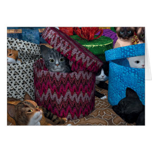 Cartão Gatinhos Em Caixas