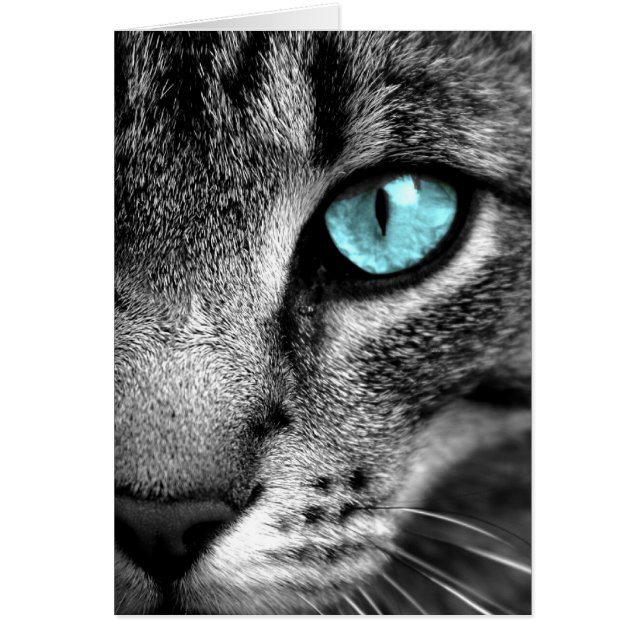 Cartão Gato (Frente)