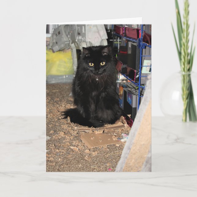 Cartão Gato (Frente)