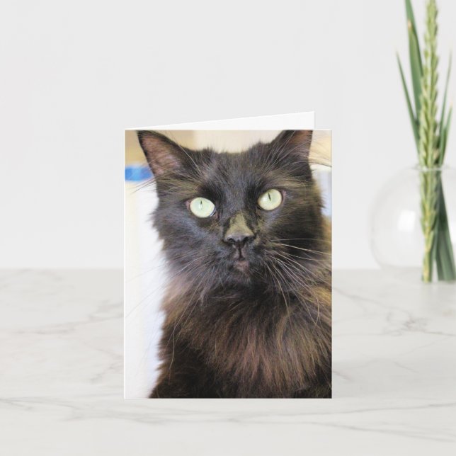 Cartão Gato (Frente)