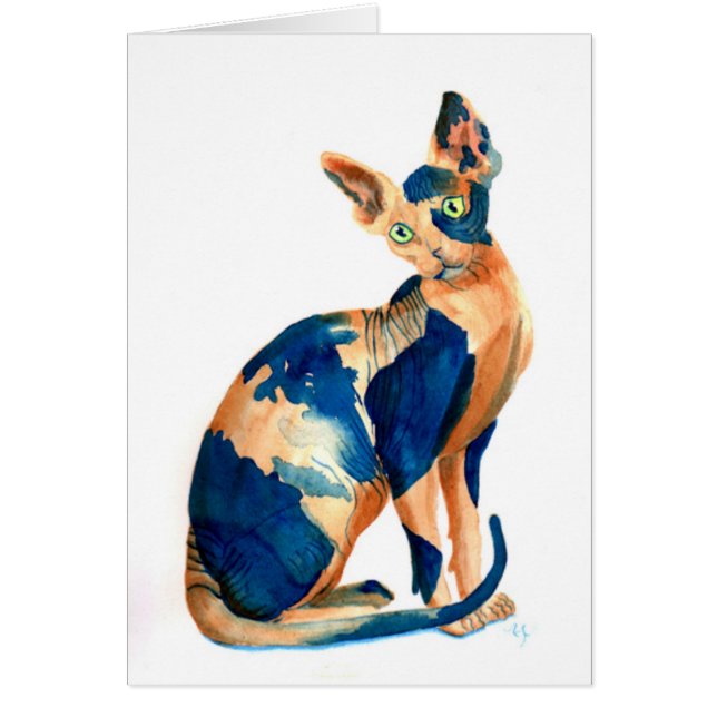 Cartão Gato 6 de Sphynx (Frente)