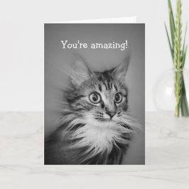 Cartão Gato Amazado Com Pescoço Ruff Feliz Aniversário