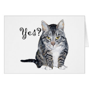 Cartão Gato American Shorthair - Sim?