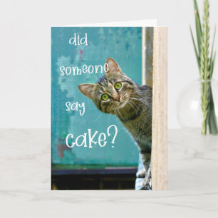 Cartão Gato Aniversário, Engraçado, Alguém Disse Bolo?