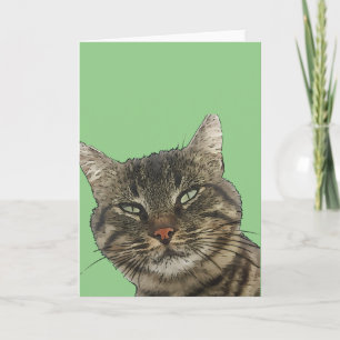 Cartão Gato Atraente Malhado Marrom Arte com Contorno Pre