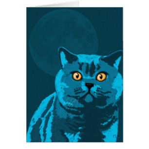 Cartão Gato azul