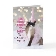 Gato Bonito, Aniversário Salute