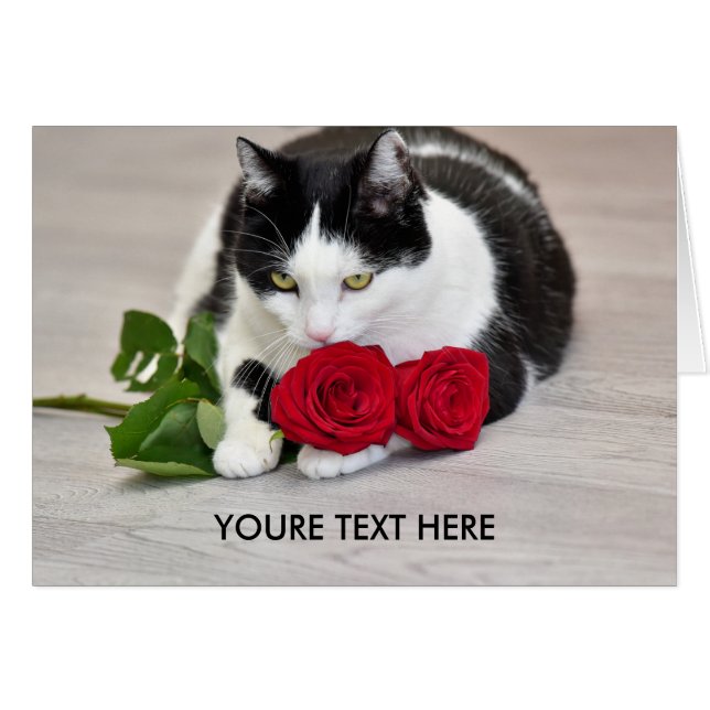 Cartão Gato bonito com a rosa vermelha (Frente Horizontal)