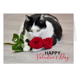 Cartão Gato bonito com a rosa vermelha