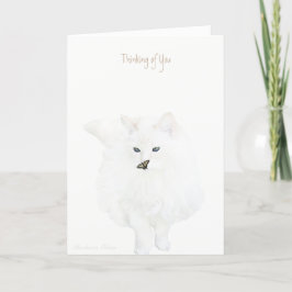 Cartão Gato branco bonito—Pensando em você: