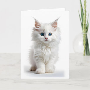 Cartão Gato Branco Fofinho de Cabelo Comprido Olhos Azuis