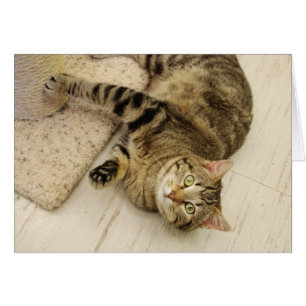 Cartão Gato brincalhão