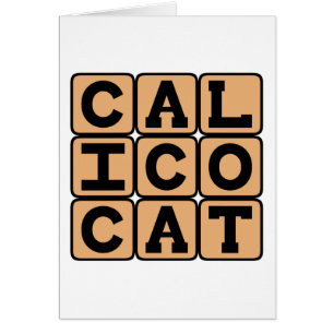 Cartão Gato Calico, Animal de Estimação Doméstico