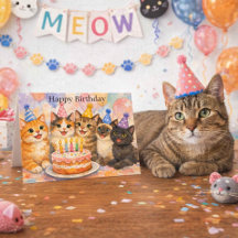 Gato Caprichoso Aniversário Festa Fofa Gatos Crian