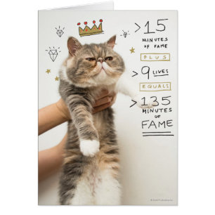Cartão Gato Celeberity do Internet