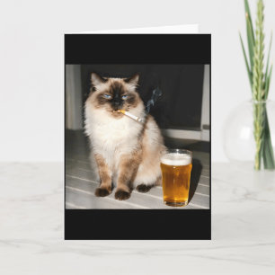 Cartão Gato Cigarro Gato Engraçado Ragdoll Gato Fumando G