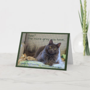 Cartão Gato Cinza Fofo na Cadeira