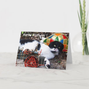 Cartão GATO COM CHAPÉU HARLEQUIM Aniversário Feliz