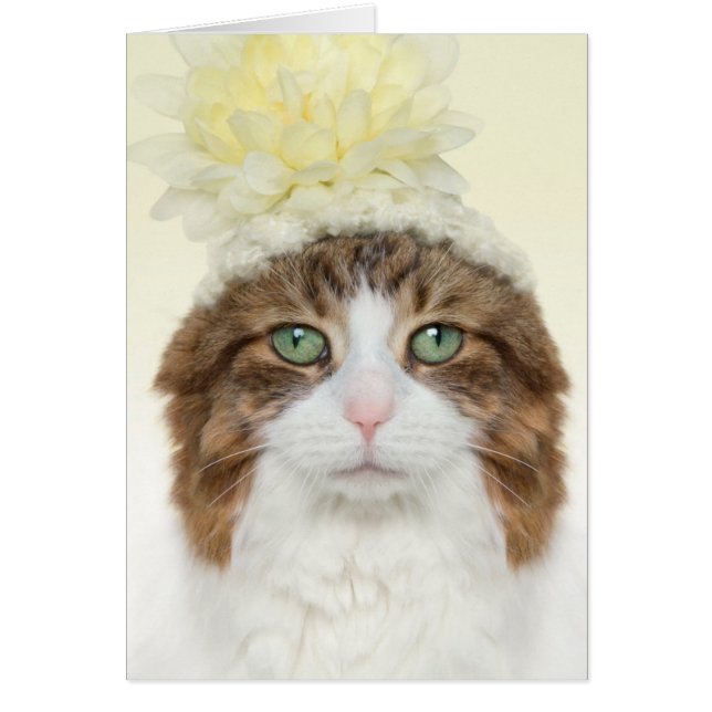 Cartão Gato Com Hato De Flor (Frente)