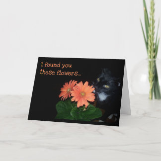 Cartão Gato Comeu Suas Flores De Aniversário