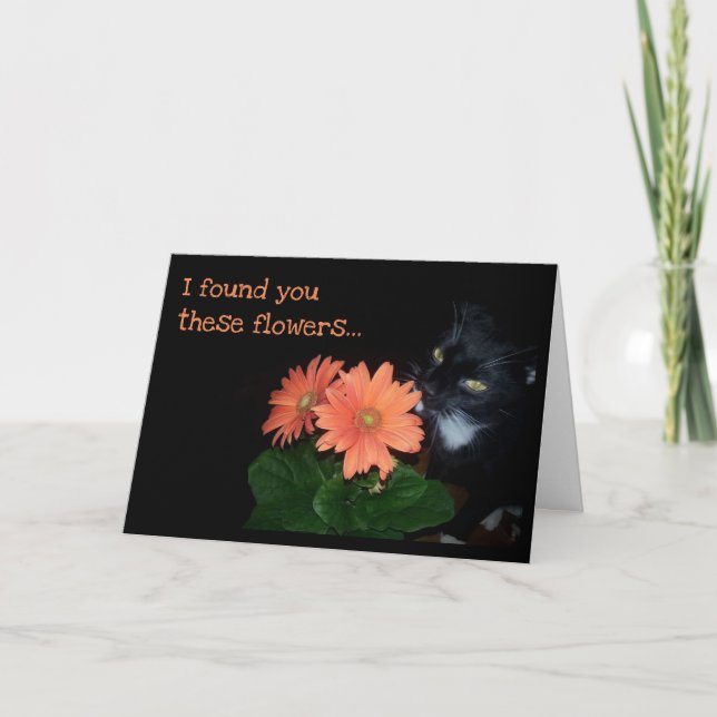 Cartão Gato Comeu Suas Flores De Aniversário (Frente)