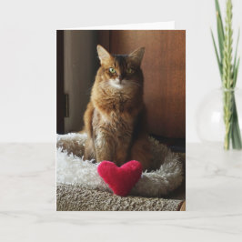 Cartão Gato Coração Gato Somali Dia dos Namorados 