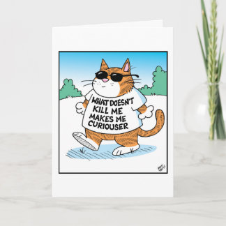 Cartão Gato Curioso 