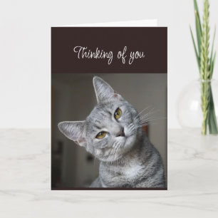 Cartão Gato Curioso Pensando em Você Sentindo Sua Falta