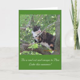 Cartão Gato da cidade amando Pine Lake árvores!