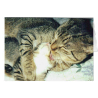 Cartão Gato da papá e seu gatinho