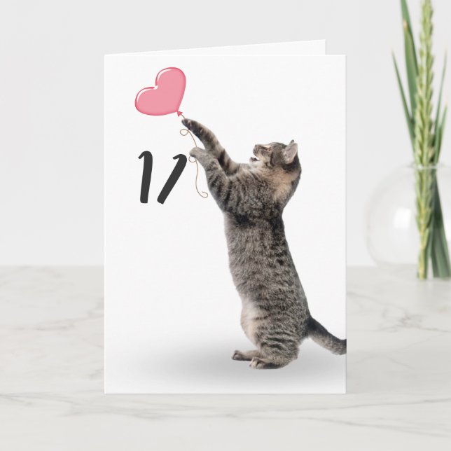 Cartão gato de 11 aniversário (Frente)