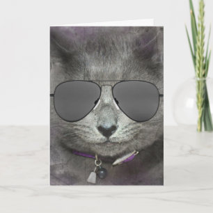 Cartão Gato de aniversário com óculos de sol aviador
