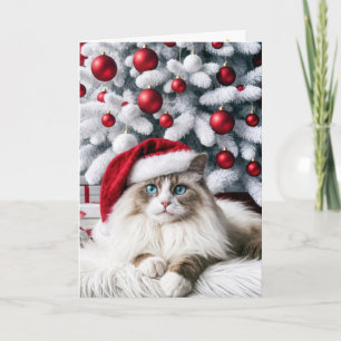 Cartão Gato de Aragdolas de Natal em um Chapéu Santa