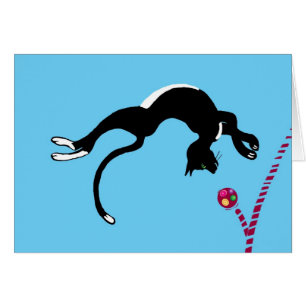 Cartão Gato de Backflip