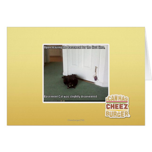 Cartão Gato de Base, ligeiramente desorientado (Frente Horizontal)