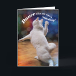 Cartão Gato de dança engraçado - Ninguém está assistindo<br><div class="desc">Este gato está dançando como se ninguém estivesse assistindo. A mensagem é: "Dance como se ninguém estivesse assistindo"... Então se você é um dançarino ruim, não importa, ninguém está assistindo porque eles estão muito ocupados olhando para seus telefones! Cartão de aniversário engraçado para amantes de gatos (ou amantes de gatos...</div>