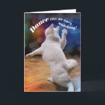 Cartão Gato de dança engraçado - Ninguém está assistindo<br><div class="desc">Este gato está dançando como se ninguém estivesse assistindo. A mensagem é: "Dance como se ninguém estivesse assistindo"... Então se você é um dançarino ruim, não importa, ninguém está assistindo porque eles estão muito ocupados olhando para seus telefones! Cartão de aniversário engraçado para amantes de gatos (ou amantes de gatos...</div>