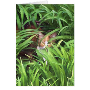 Cartão gato de gato malhado escondendo nas folhas