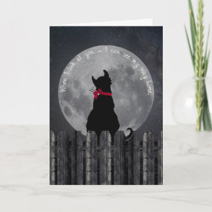 Cartão Gato de Lua na cerca