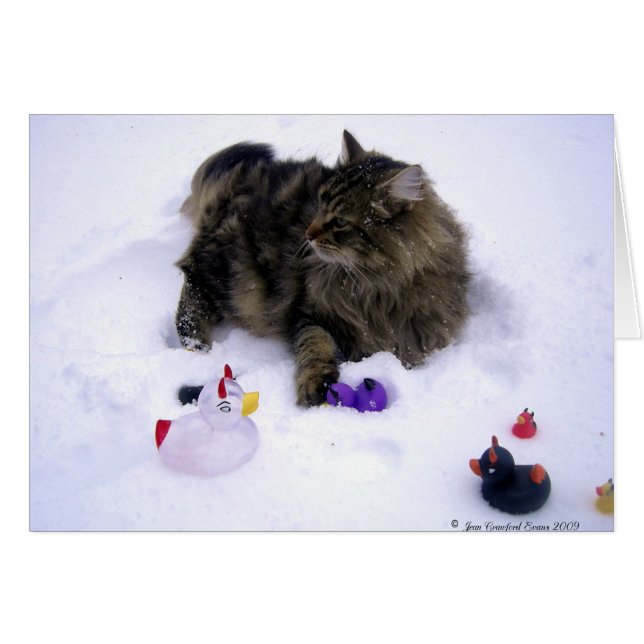 Cartão Gato de Neve Feroz (Frente Horizontal)