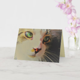 Cartão Gato de Olhar Passageiro com Olhos Verdes