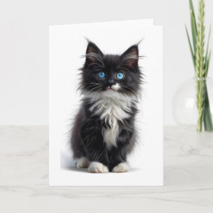 Cartão Gato de pelo longo preto e branco olhos azuis em b