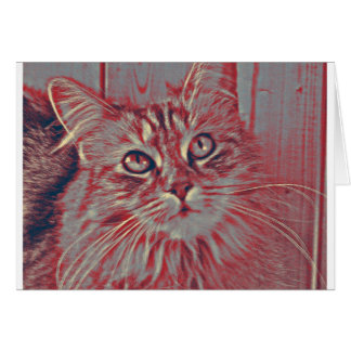 Cartão Gato de racum de Maine