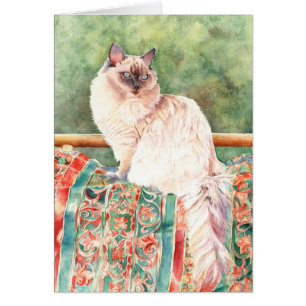 Cartão Gato de "Ragdoll"