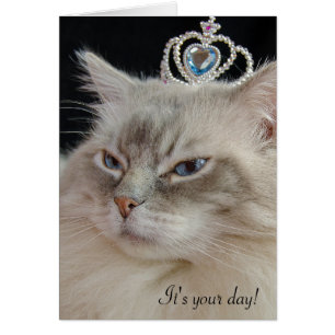 Cartão Gato de Ragdoll com coroa jeweled