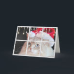Cartão Gato de Ragdoll na janela do inverno com luzes de<br><div class="desc">Gato de Ragdoll no windowpane com flocos de neve e luzes de Natal do feriado</div>