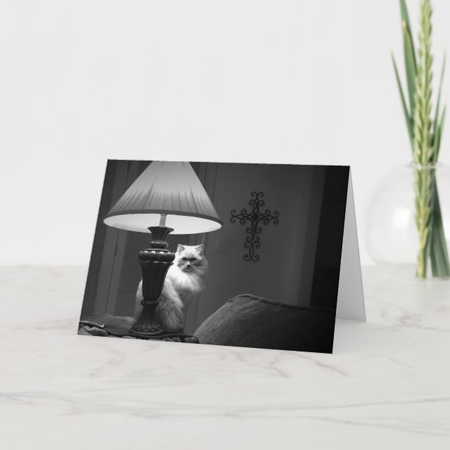 Cartão Gato de Ragdoll/Noir (Frente)