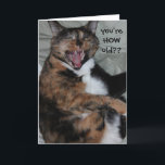 Cartão Gato de riso engraçado, aniversário (antigo) do<br><div class="desc">Gato de riso engraçado,  cartão de aniversário (antigo) velho do temporizador; Você é COMO idoso?? eu provavelmente estarei vendo-o na mostra de estrada antiga em breve!!!</div>