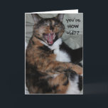 Cartão Gato de riso engraçado, aniversário (antigo) do<br><div class="desc">Gato de riso engraçado,  cartão de aniversário (antigo) velho do temporizador; Você é COMO idoso?? eu provavelmente estarei vendo-o na mostra de estrada antiga em breve!!!</div>